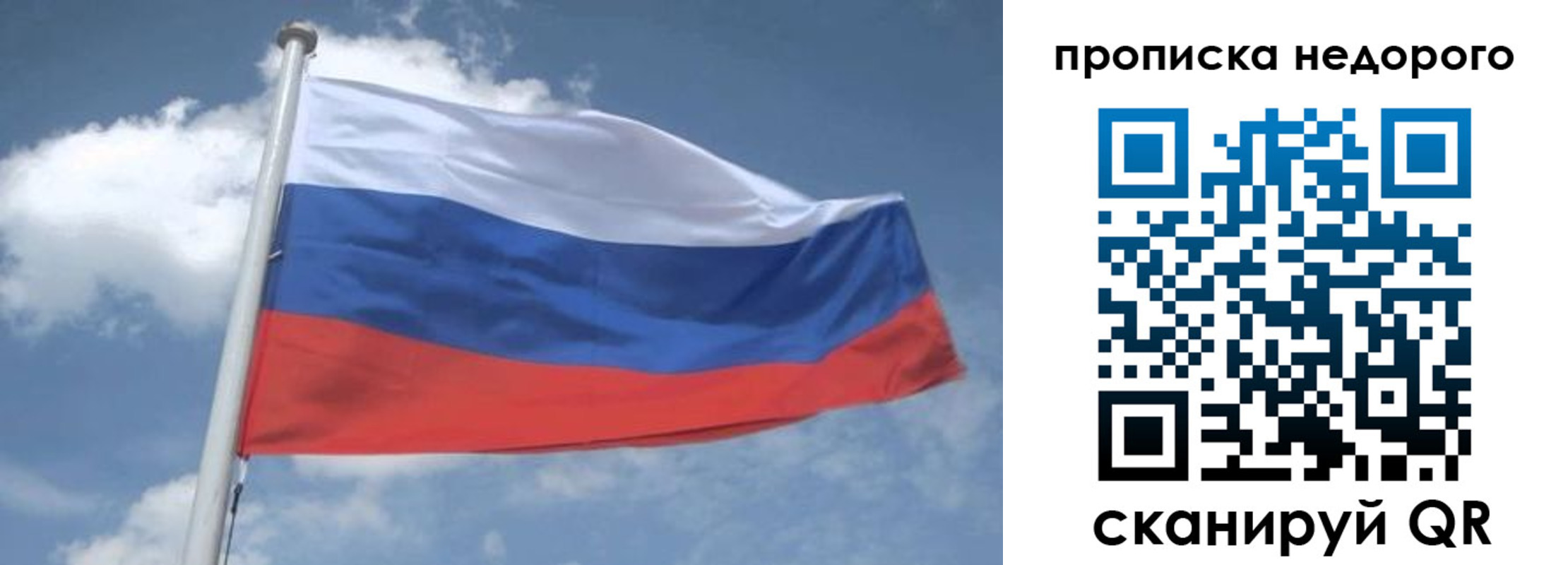 временная регистрация для всех в Полярном